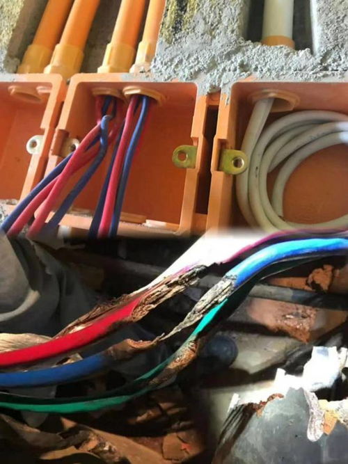 家里短路跳闸，问题竟然出现在接线盒里